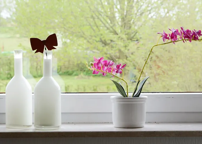 Appartement Waldvogt By Interhome *